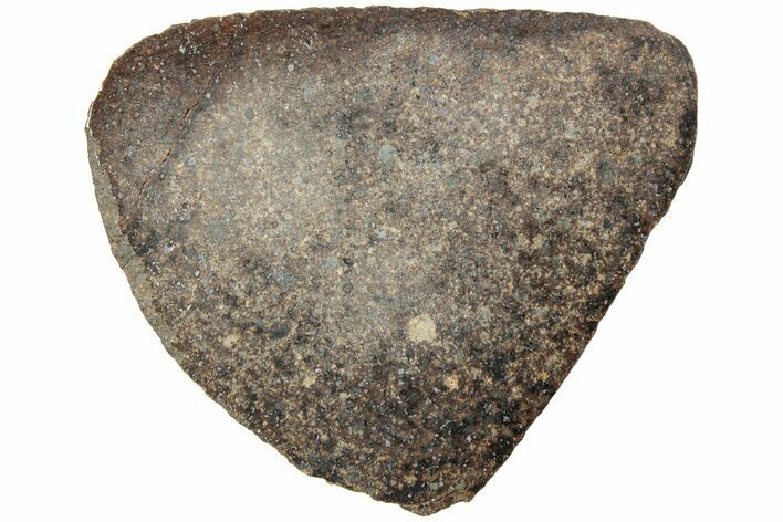 Polished Chondrite Meteorite Slice ( g) - Morocco #238055